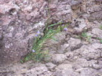 100_1695.jpg